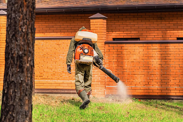 Bed Bug Clearance Verification and Documentation in Indian Hills